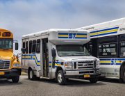 buses by the bay