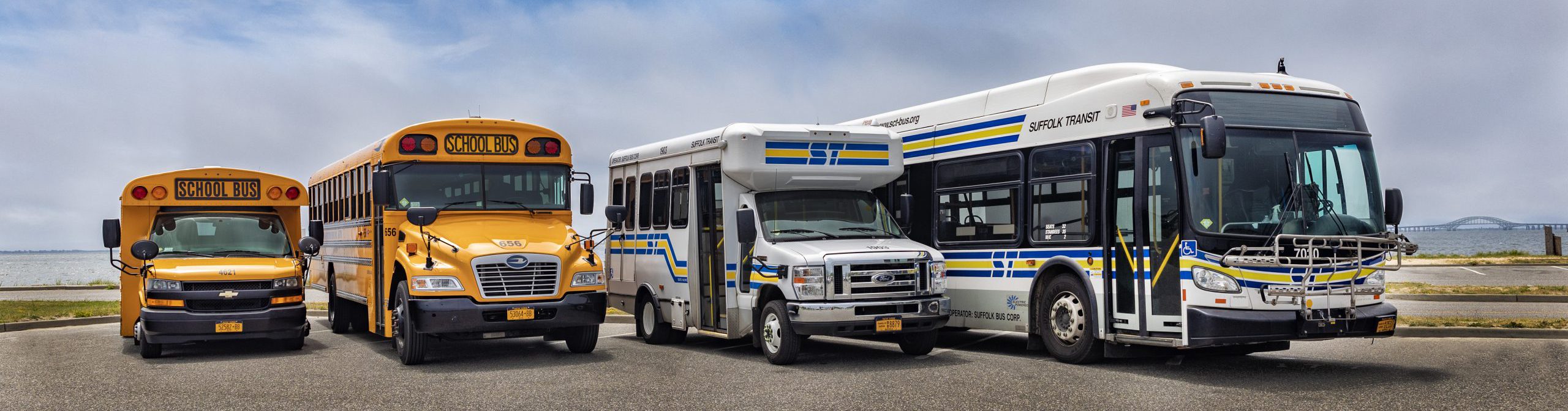 buses by the bay